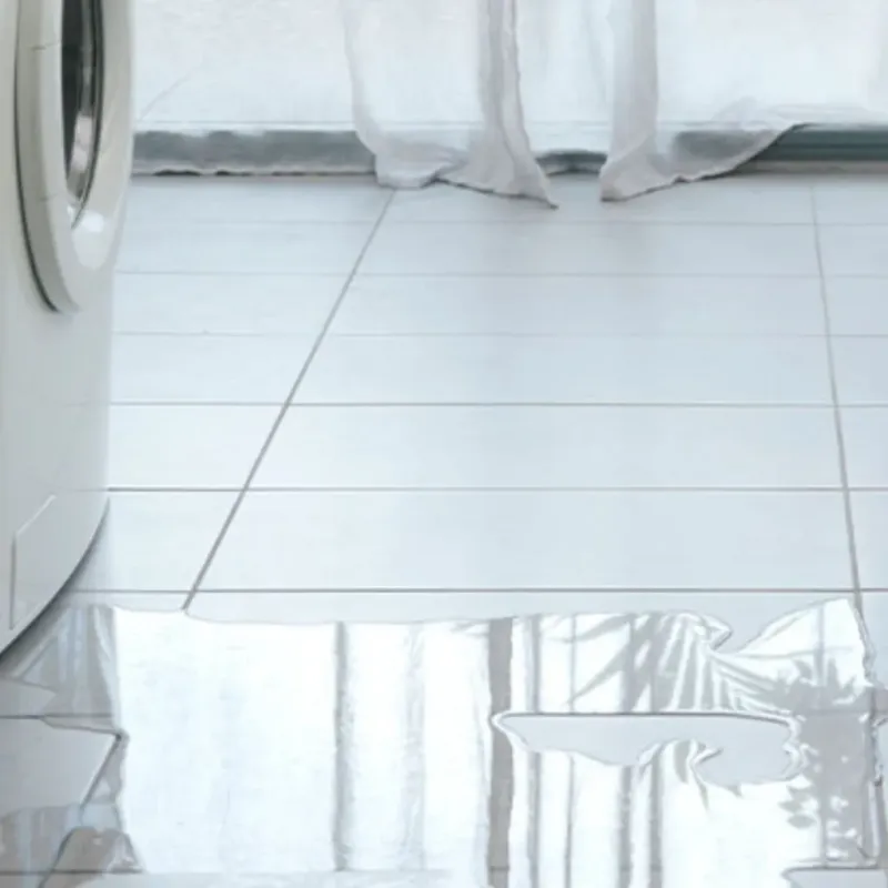 Appliance Leak Cleanup in Danvers, IL