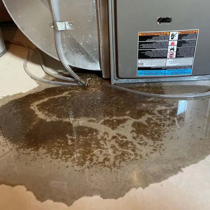 Pipe Burst and Leak Restoration in Danvers, IL