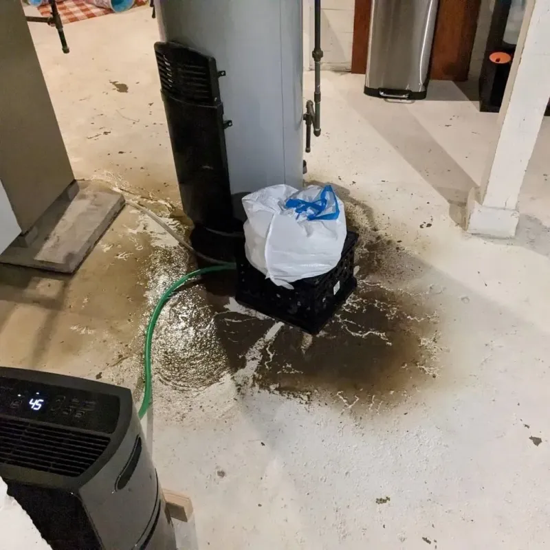 Sewage Backup Cleanup Service in Danvers, IL
